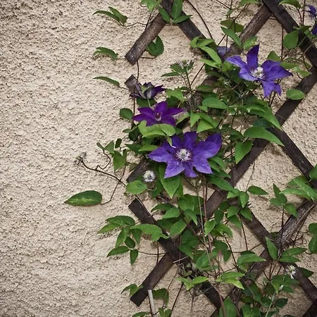 Domaine Le Chec Hotel *