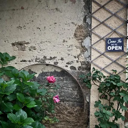 Domaine Le Chec * Saint-Ost