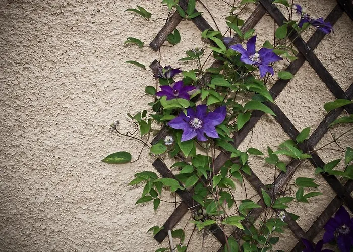 Domaine Le Chec ホテル *