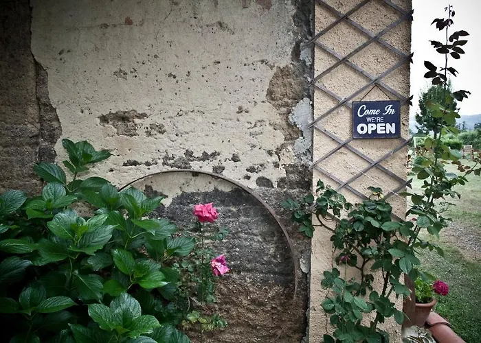 Domaine Le Chec * Saint-Ost